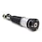 Arnott Air Suspension Strut, As-2820 AS-2820 - alternate 1